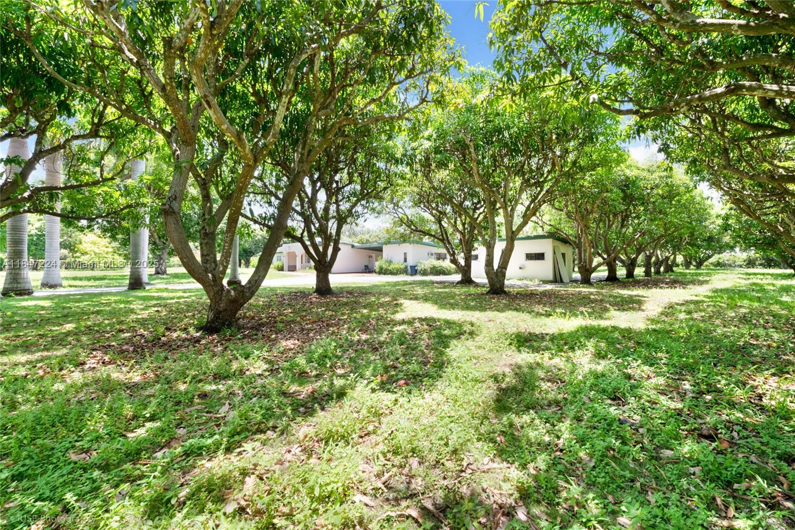 See details / sq. ft. $ 2025-07-25 0 Photo