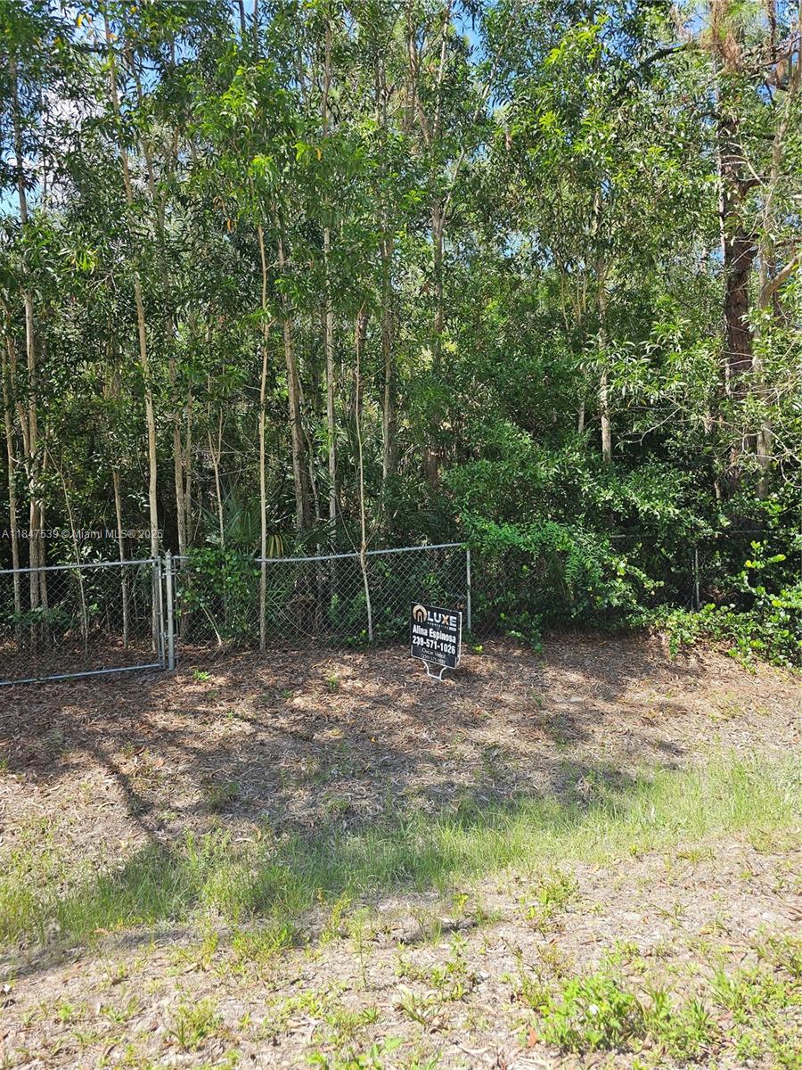 See details / sq. ft. $ 2025-07-26 0 Photo