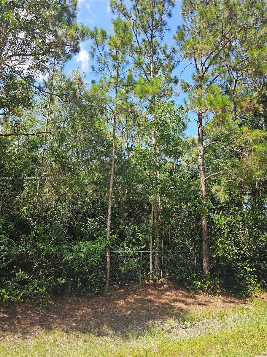 See details / sq. ft. $ 2025-07-26 0 Photo