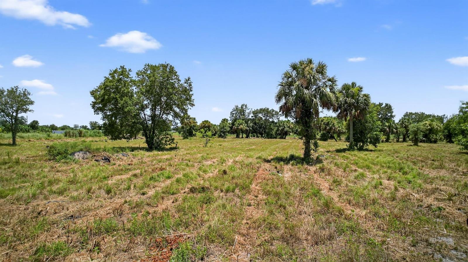   / 0  sq. ft. $ 2026-06-15 0 foto
