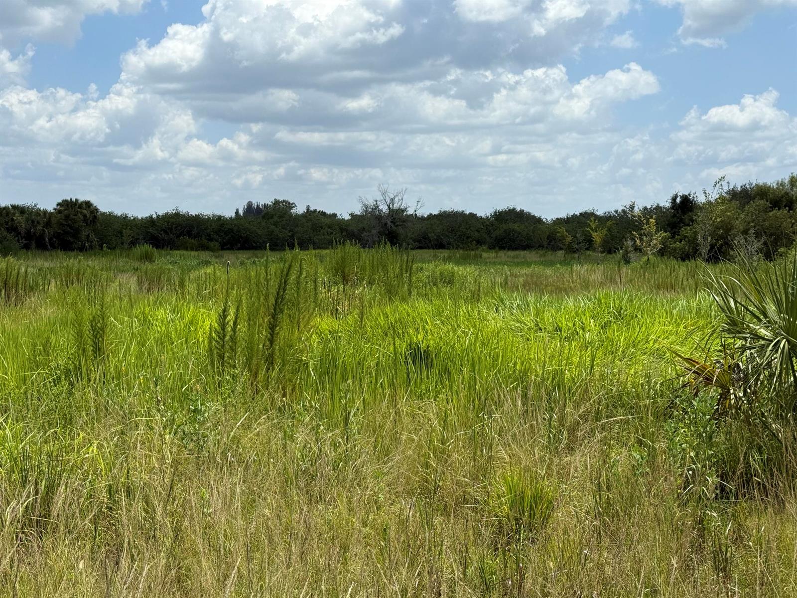   / 0  sq. ft. $ 2026-06-15 0 foto