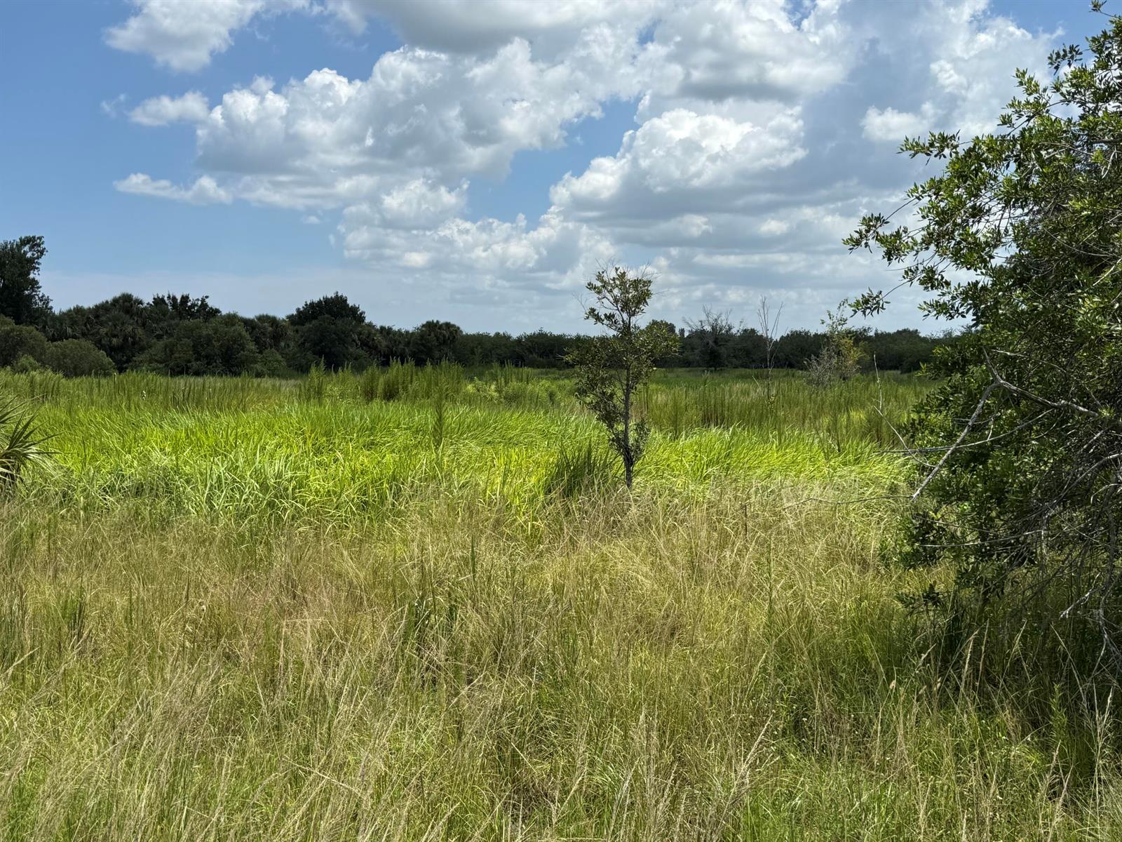   / 0  sq. ft. $ 2026-06-15 0 foto