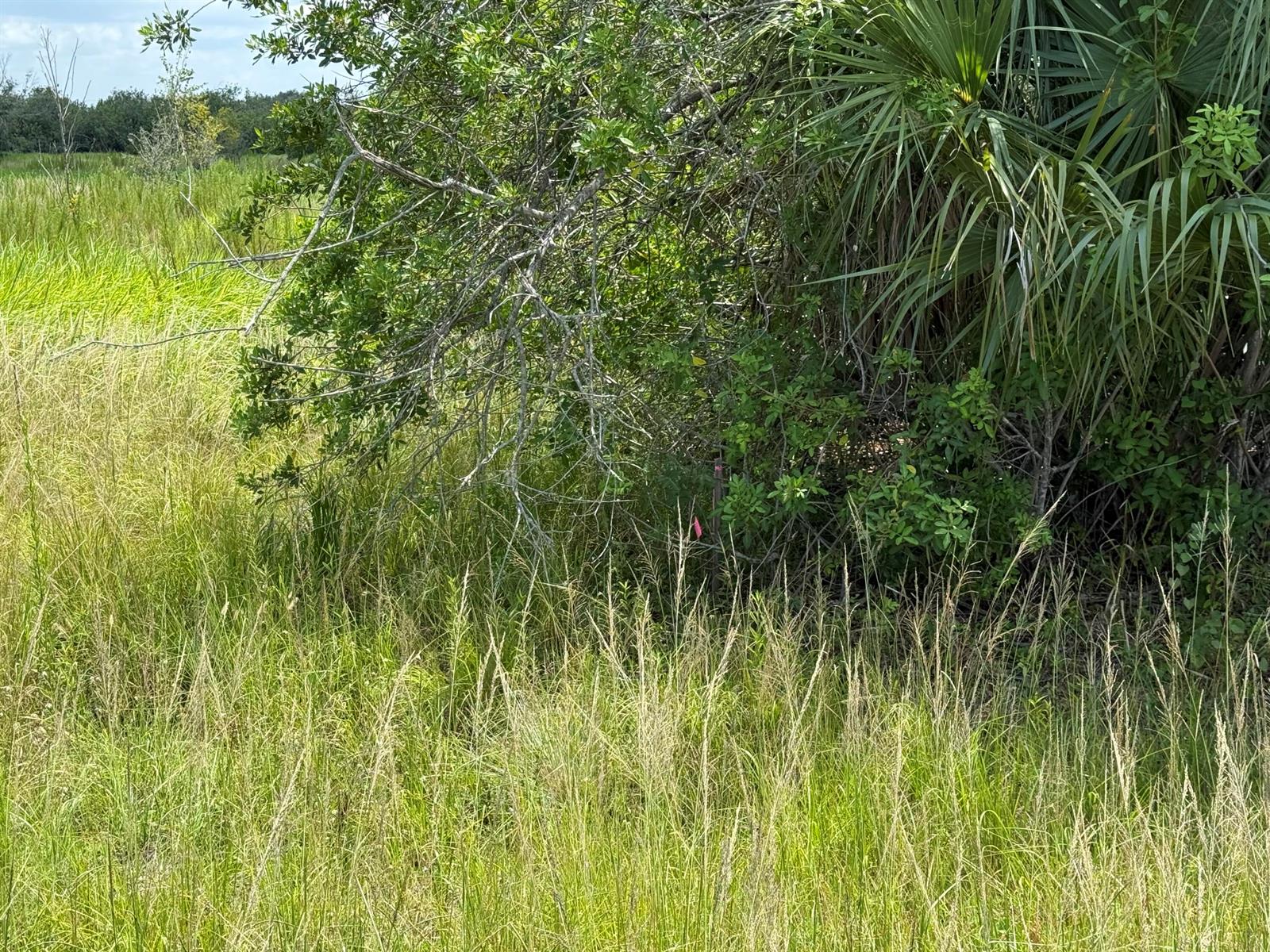  / 0  sq. ft. $ 2026-06-15 0 foto