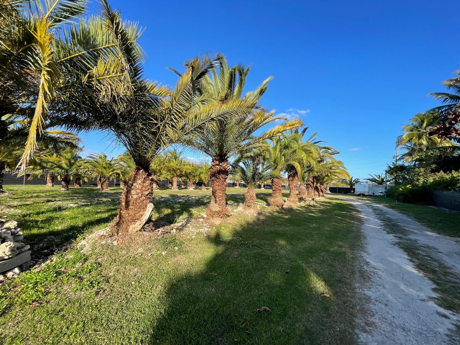 See details / sq. ft. $ 2025-07-29 0 Photo