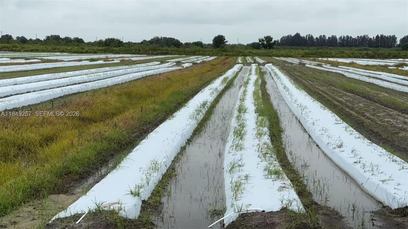   /   sq. ft. $ 2025-11-24 0 foto