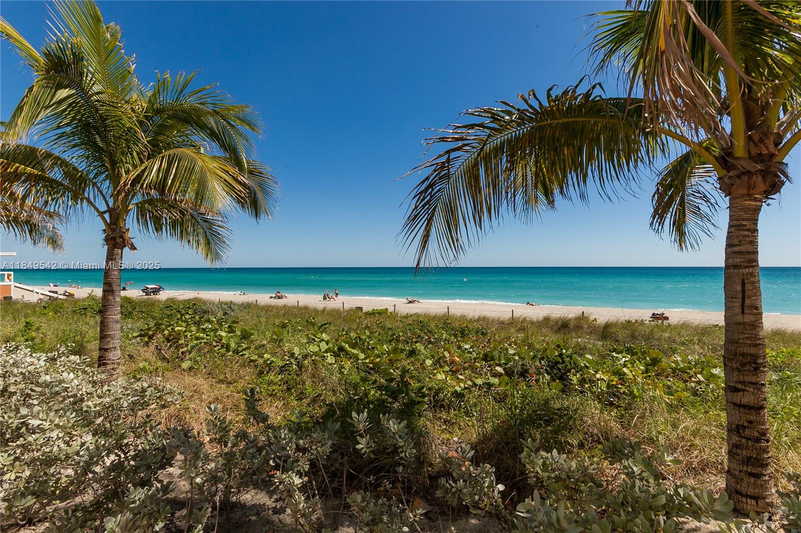 See details 2601 3 / 4 2078 sq. ft. $ 2025-07-30 0 Photo