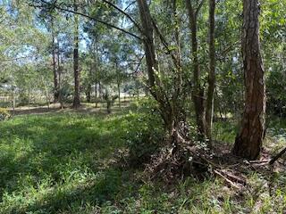 Ver detalles / 0 sq. ft. $ 2026-06-15 0 foto
