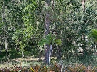 Ver detalles / 0 sq. ft. $ 2026-06-15 0 foto