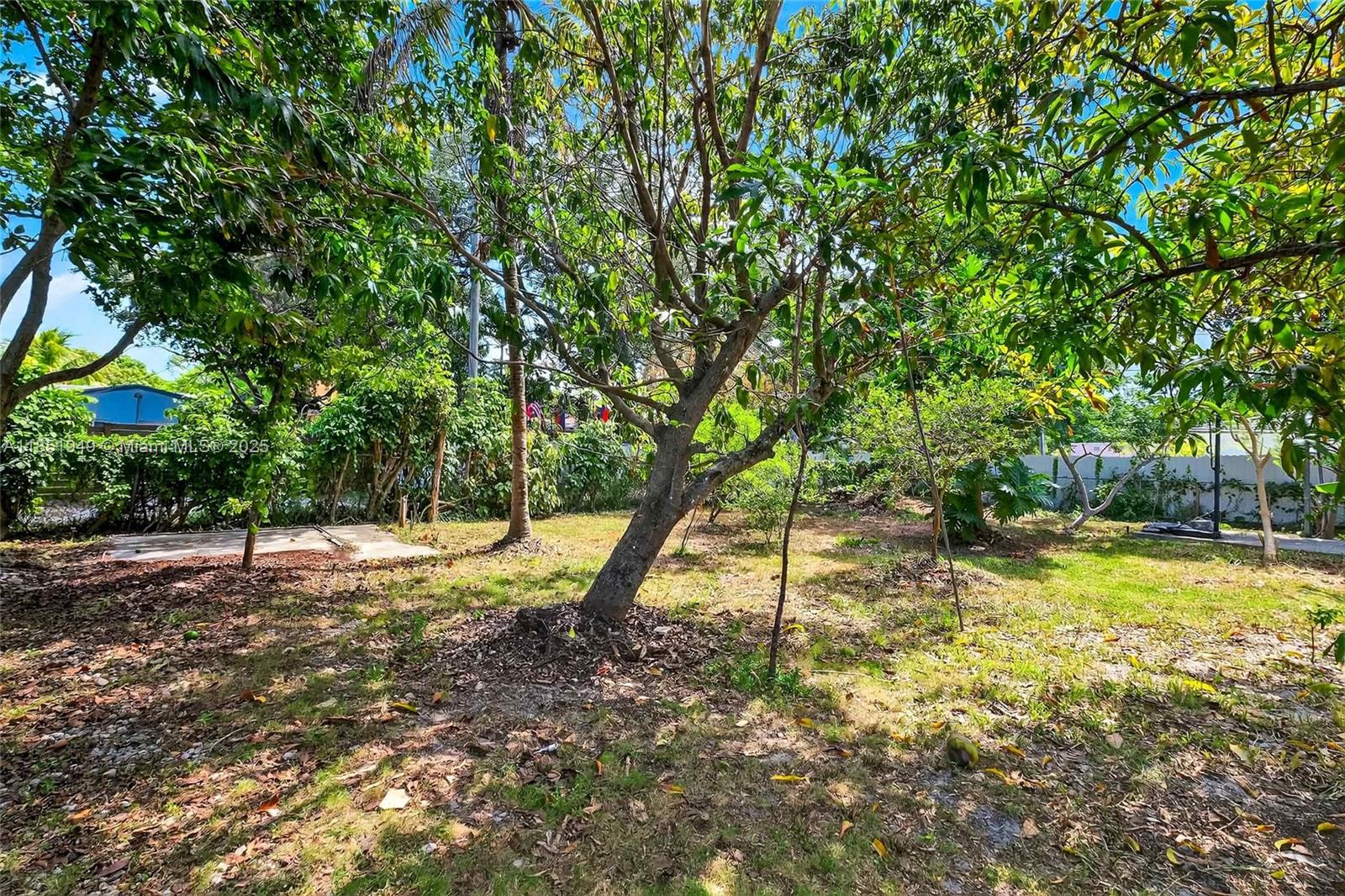 See details / sq. ft. $ 2025-08-04 0 Photo
