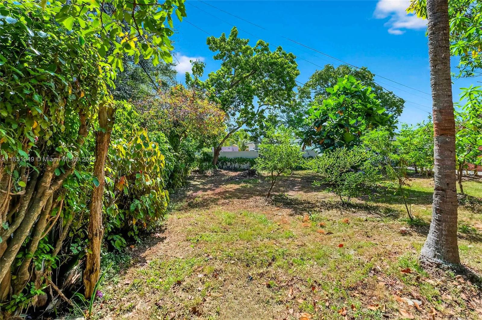   /   sq. ft. $ 2025-08-04 0 Photo