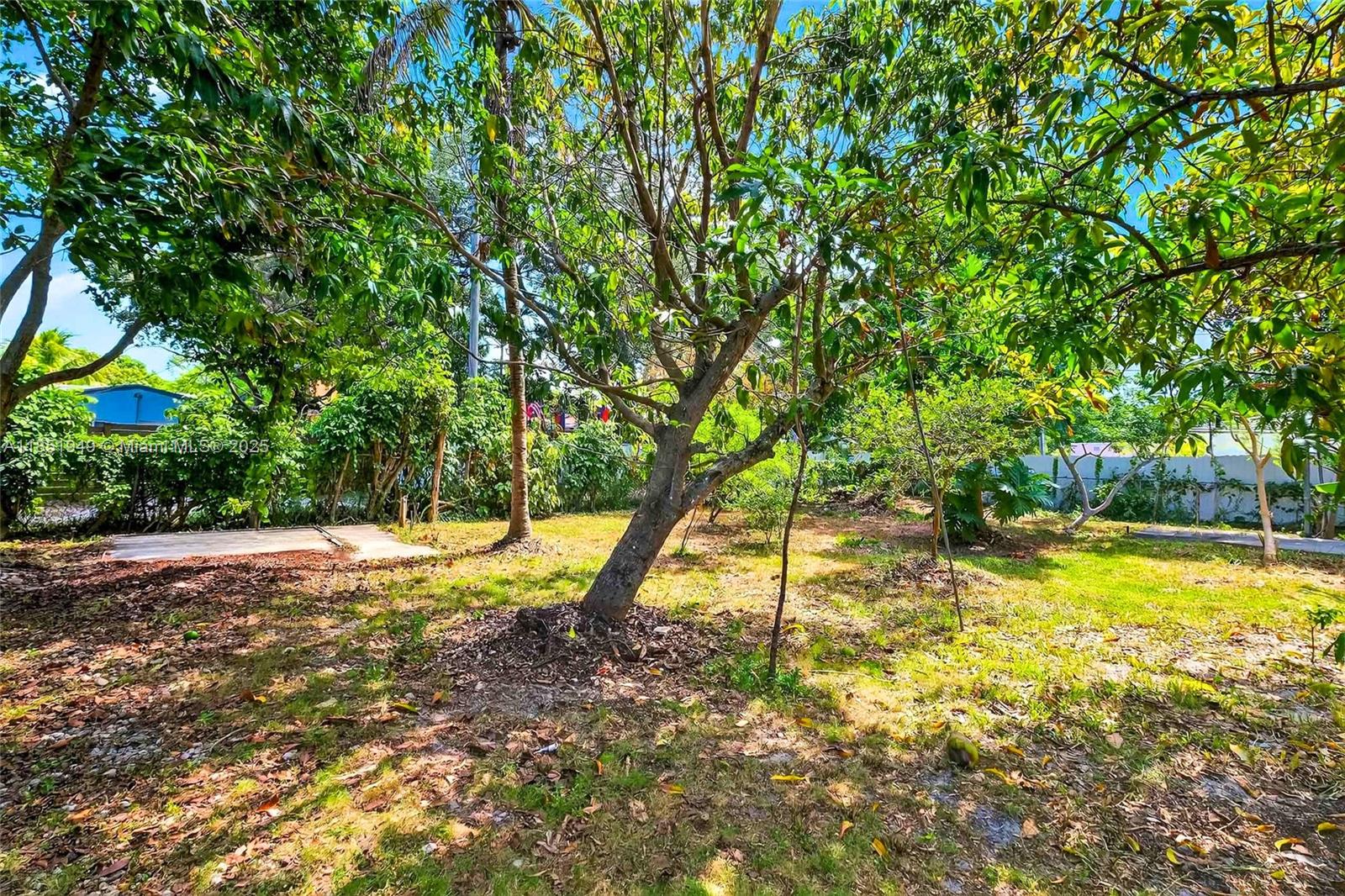   /   sq. ft. $ 2025-08-04 0 Photo
