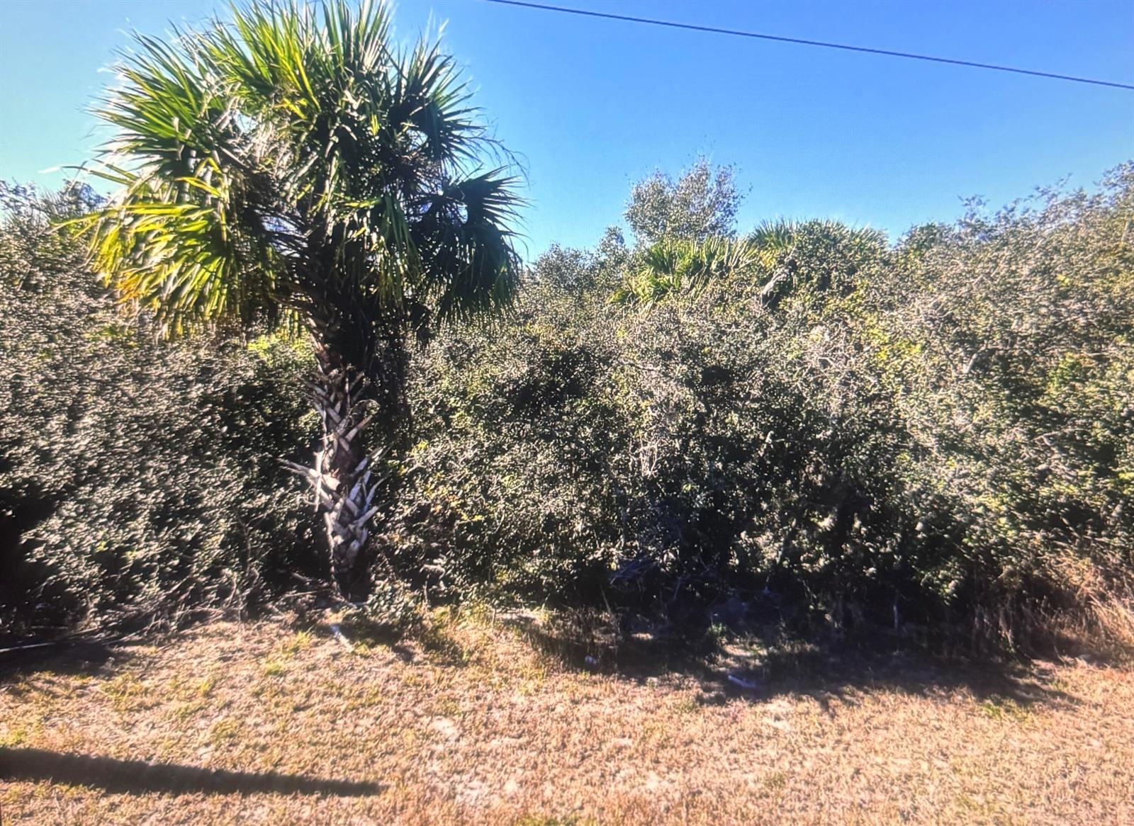 See details / 0 sq. ft. $ 2026-06-15 0 Photo