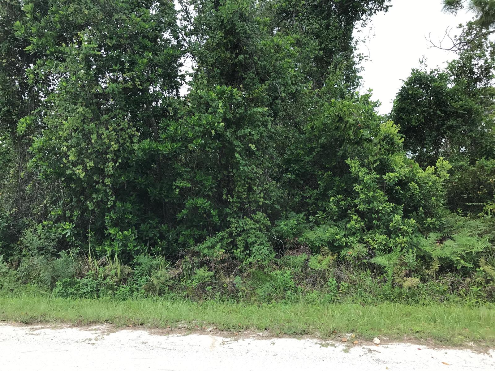   / 0  sq. ft. $ 2026-06-19 0 Photo