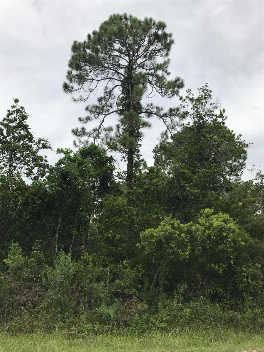   / 0  sq. ft. $ 2026-06-19 0 Photo