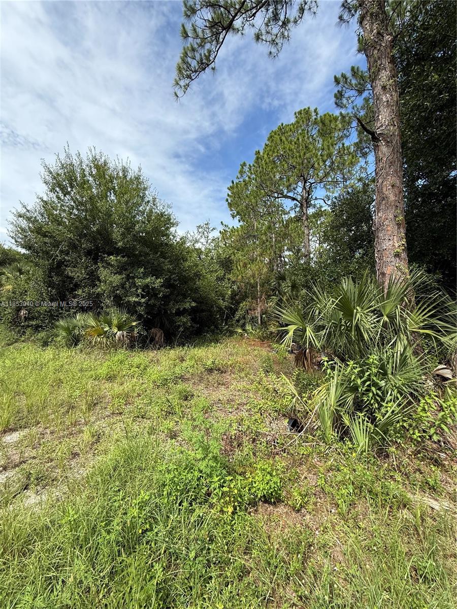 See details / sq. ft. $ 2025-08-06 0 Photo