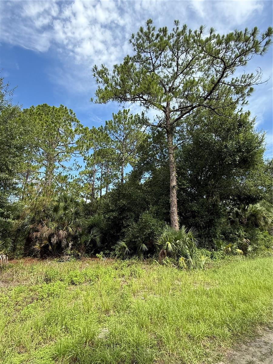See details / sq. ft. $ 2025-08-06 0 Photo