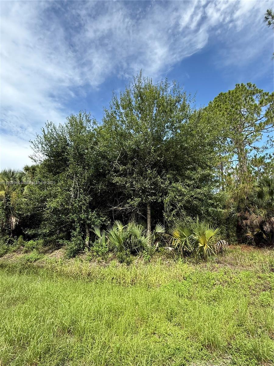 See details / sq. ft. $ 2025-08-06 0 Photo