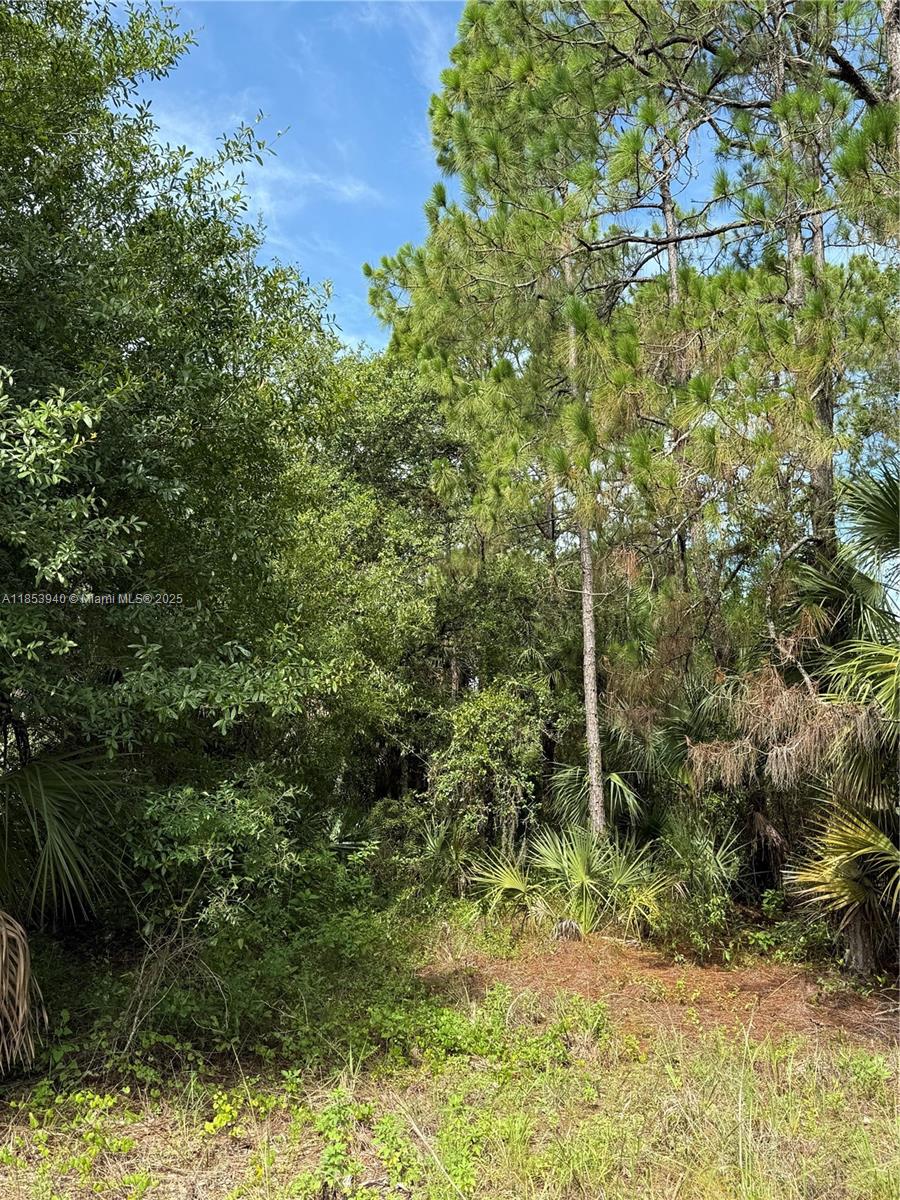 See details / sq. ft. $ 2025-08-06 0 Photo