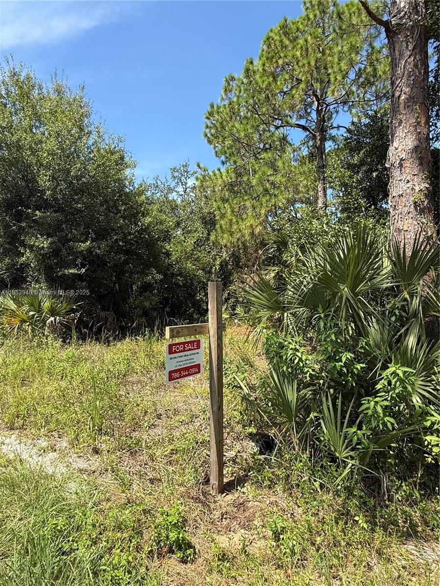 See details / sq. ft. $ 2025-08-06 0 Photo
