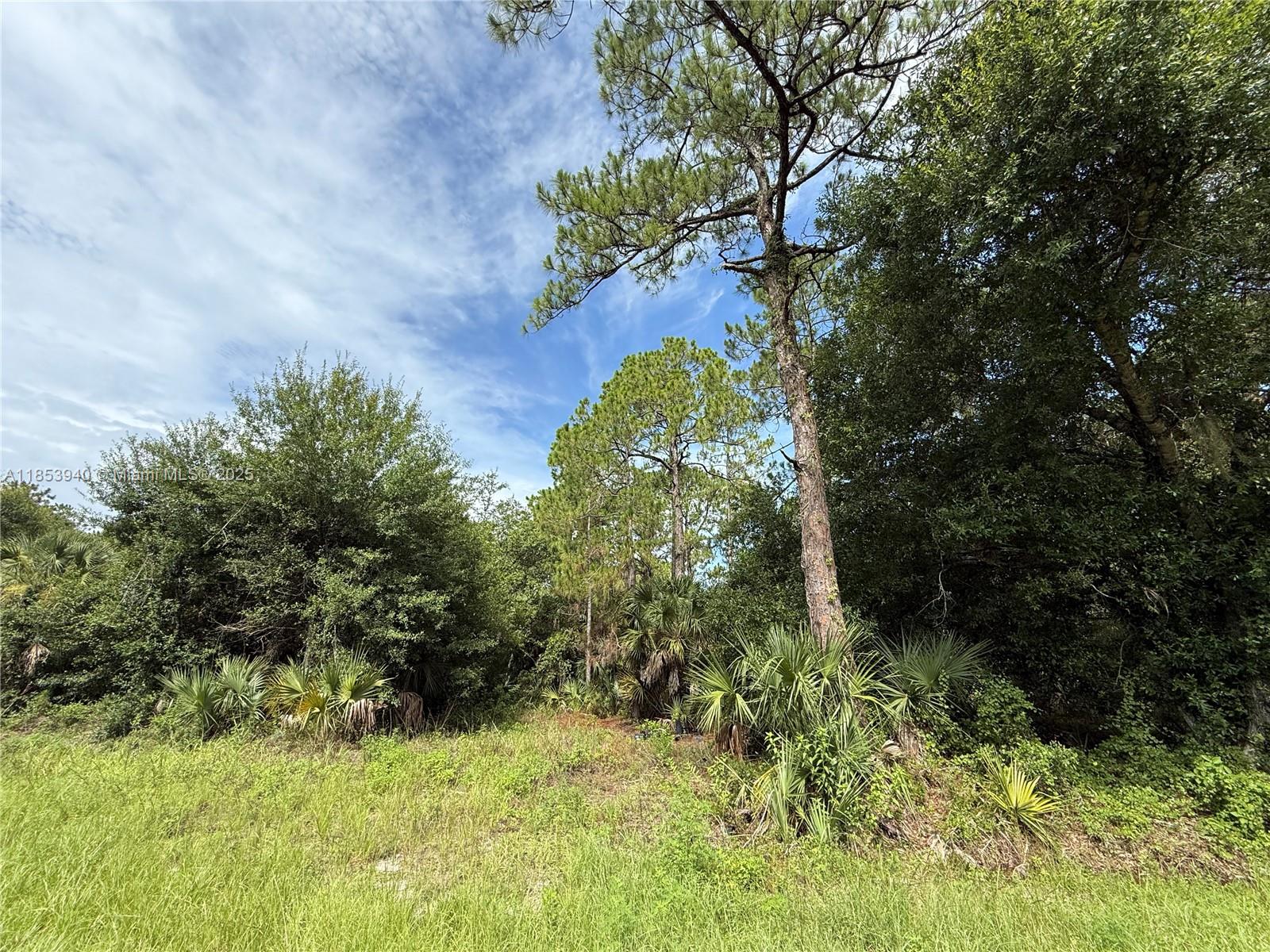 See details / sq. ft. $ 2025-08-06 0 Photo