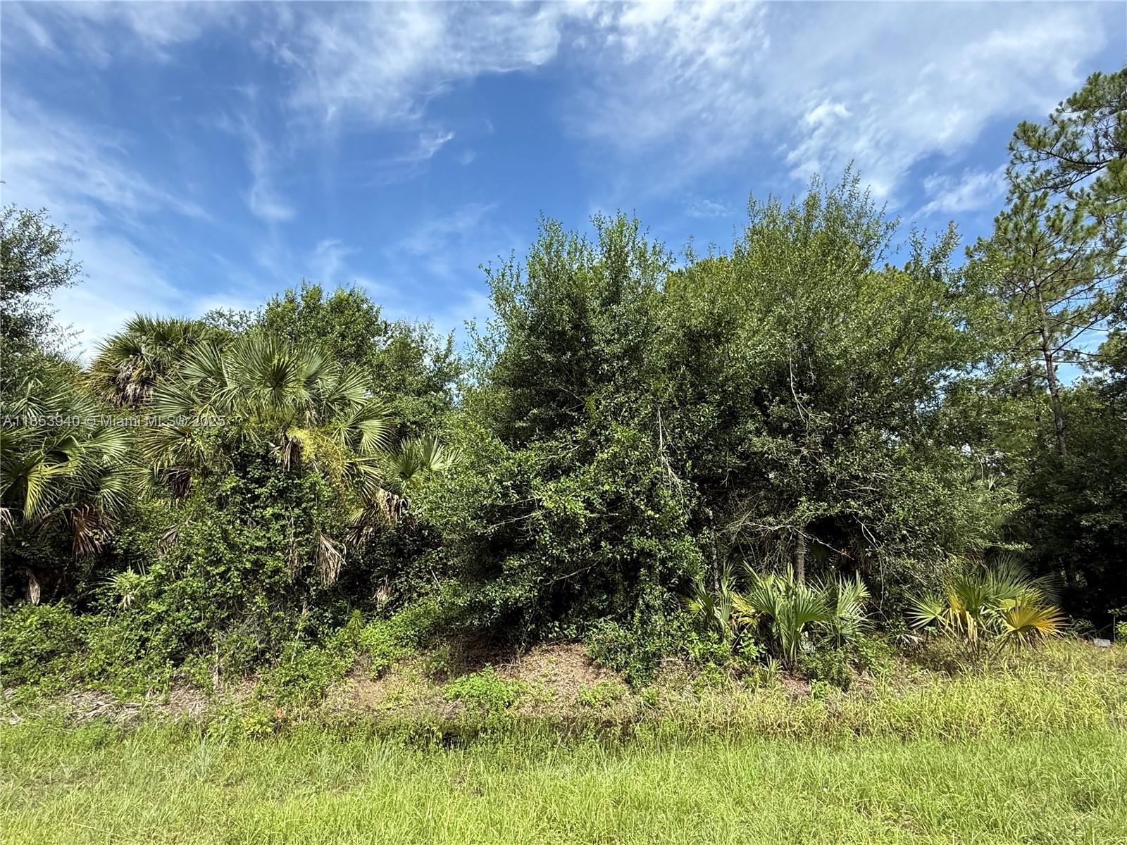 See details / sq. ft. $ 2025-08-06 0 Photo