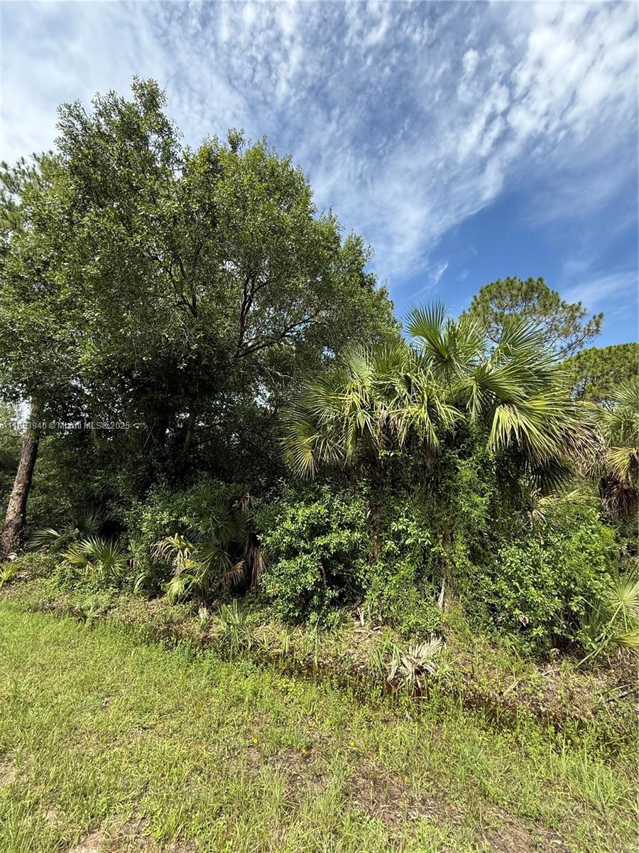 See details / sq. ft. $ 2025-08-06 0 Photo