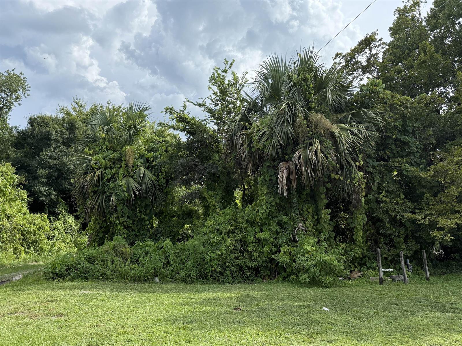   / 0  sq. ft. $ 2026-06-23 0 foto