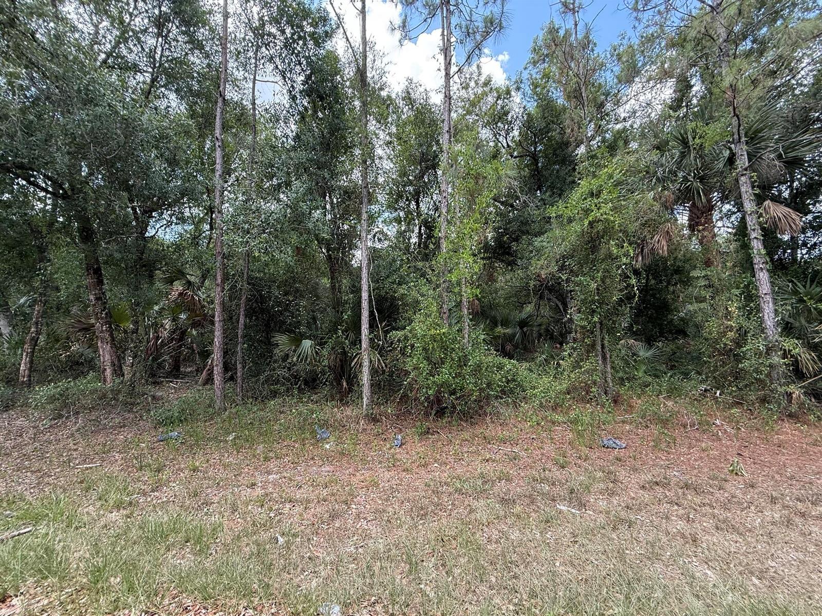 See details / 0 sq. ft. $ 2026-06-19 0 Photo