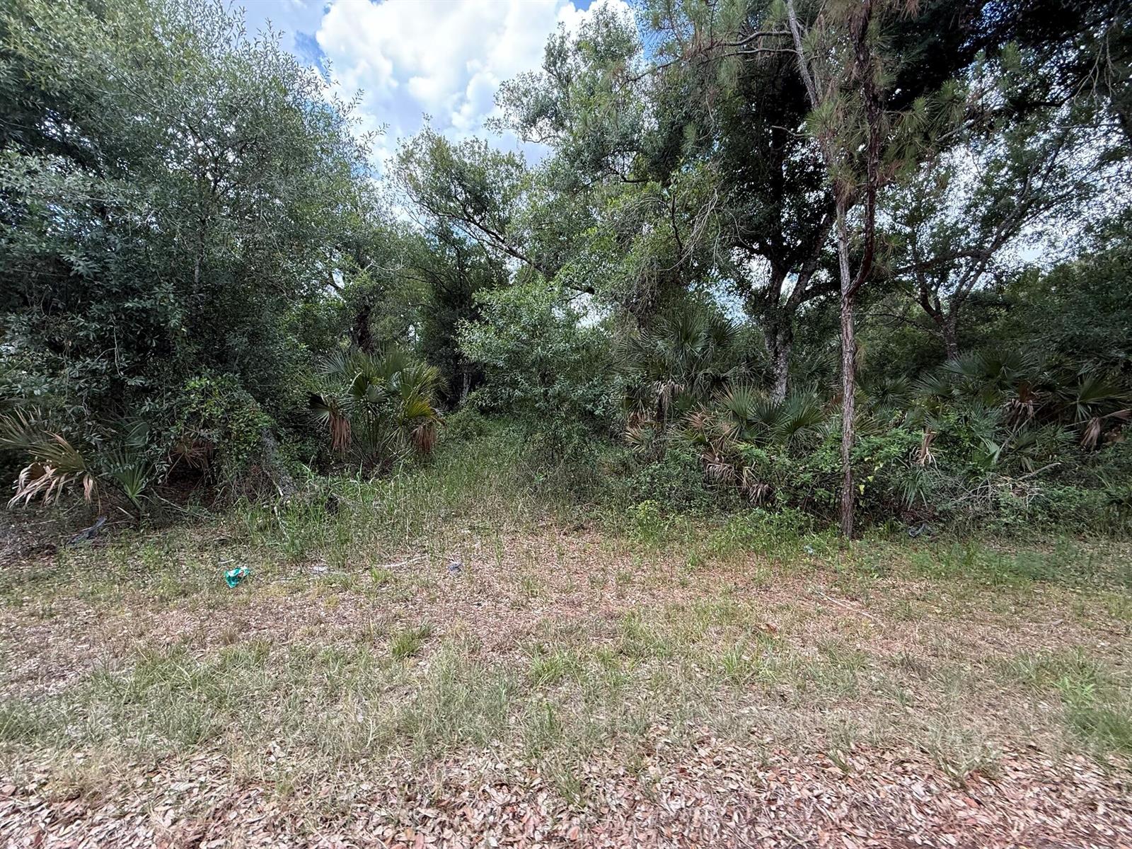 See details / 0 sq. ft. $ 2026-06-19 0 Photo