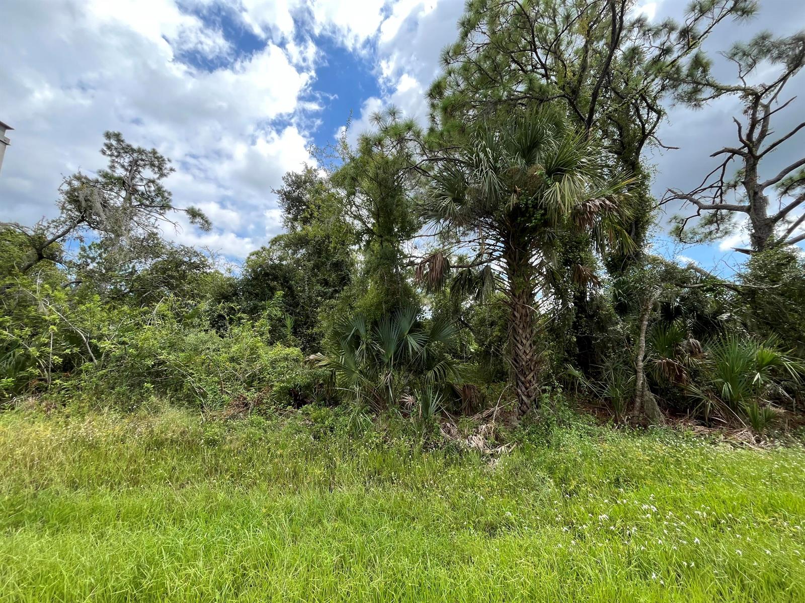 See details / 0 sq. ft. $ 2026-06-19 0 Photo