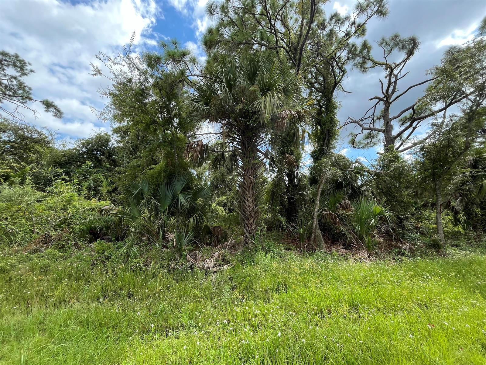 See details / 0 sq. ft. $ 2026-06-19 0 Photo