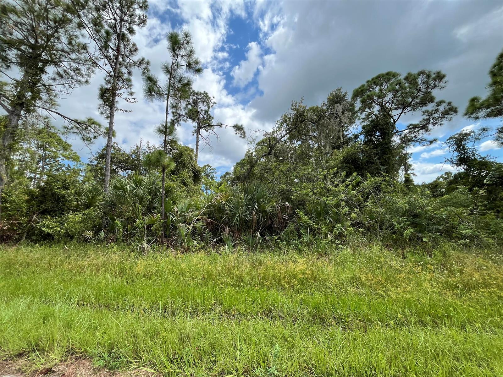 See details / 0 sq. ft. $ 2026-06-19 0 Photo