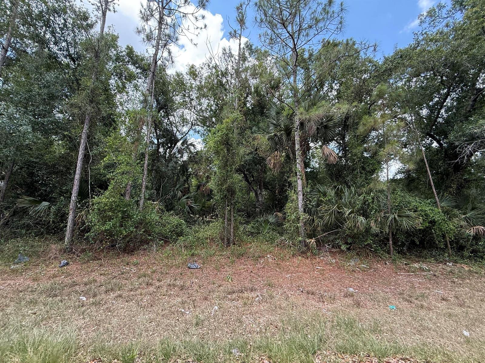See details / 0 sq. ft. $ 2026-06-19 0 Photo