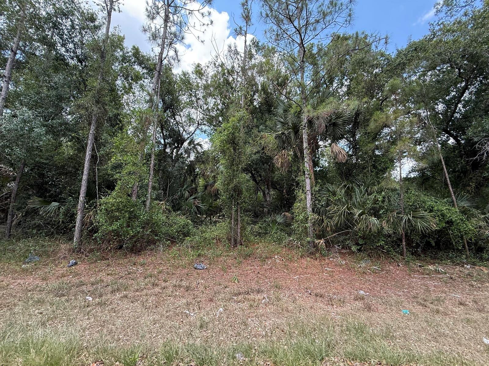 See details / 0 sq. ft. $ 2026-06-19 0 Photo