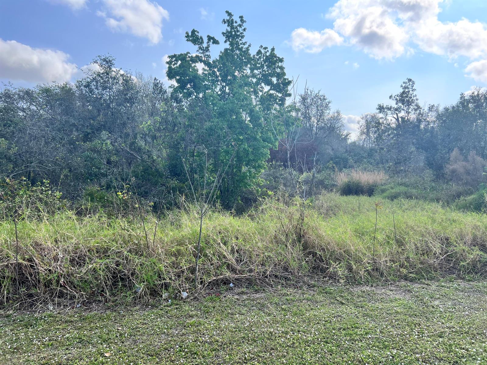   / 0  sq. ft. $ 2026-08-06 0 foto