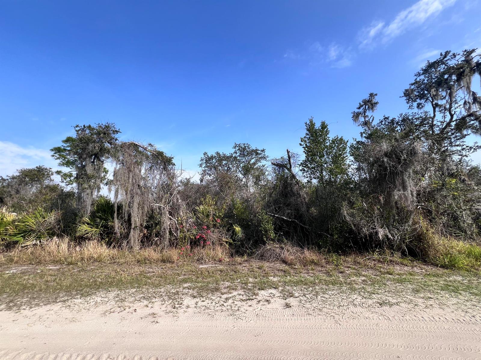   / 0  sq. ft. $ 2026-08-06 0 foto