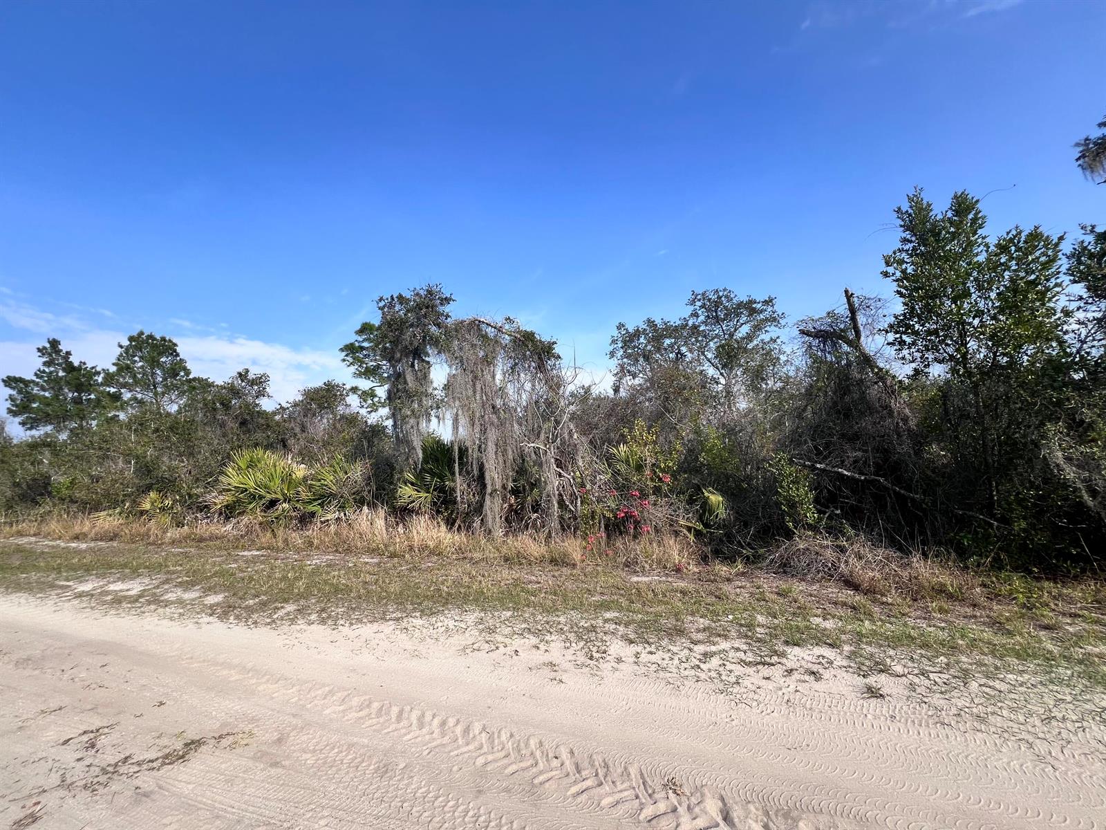   / 0  sq. ft. $ 2026-08-06 0 foto