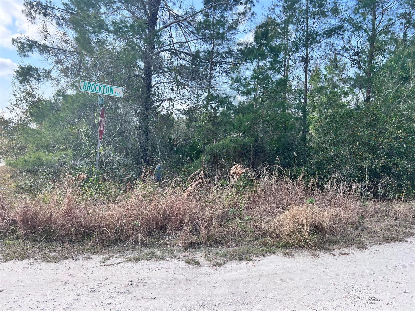   / 0  sq. ft. $ 2026-08-06 0 foto
