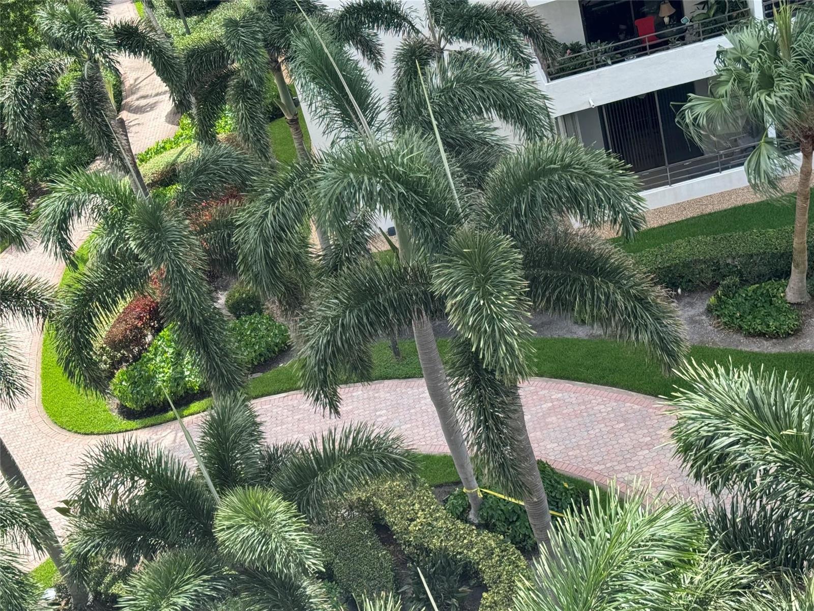 Photo of 2500 Parkview #814, Hallandale Beach, Florida, 33009 - Photo 45