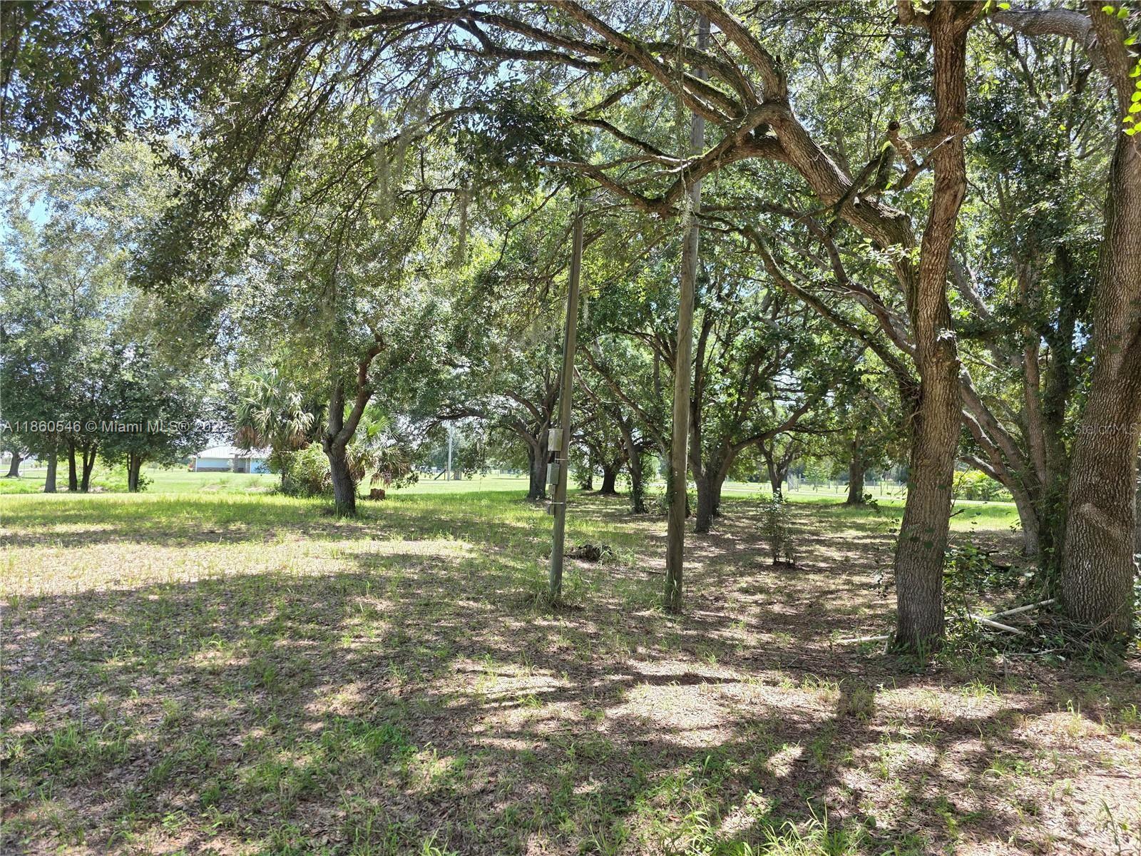 See details / sq. ft. $ 2025-08-18 0 Photo