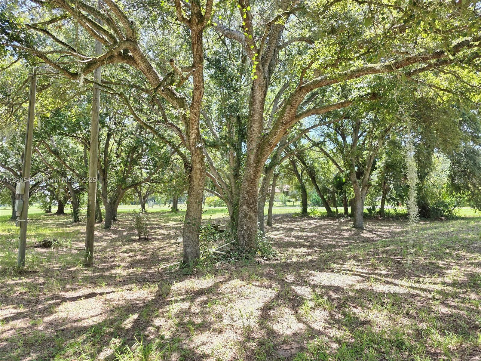 See details / sq. ft. $ 2025-08-18 0 Photo