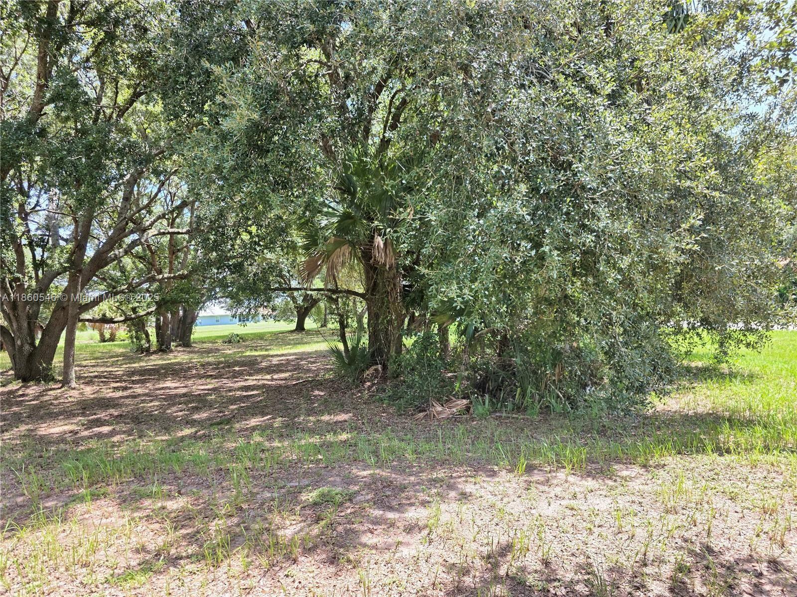 See details / sq. ft. $ 2025-08-18 0 Photo