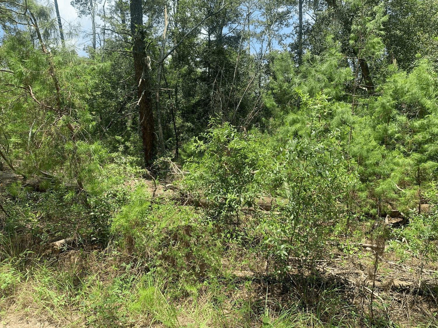   / 0  sq. ft. $ 2026-06-19 0 foto