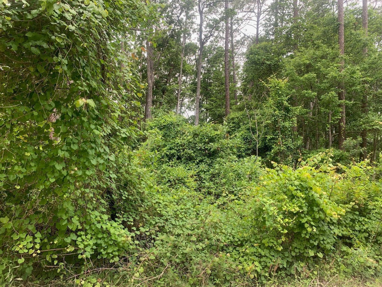   / 0  sq. ft. $ 2026-06-19 0 foto