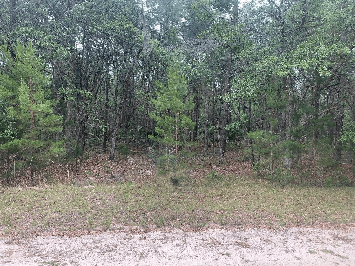   / 0  sq. ft. $ 2026-06-19 0 foto