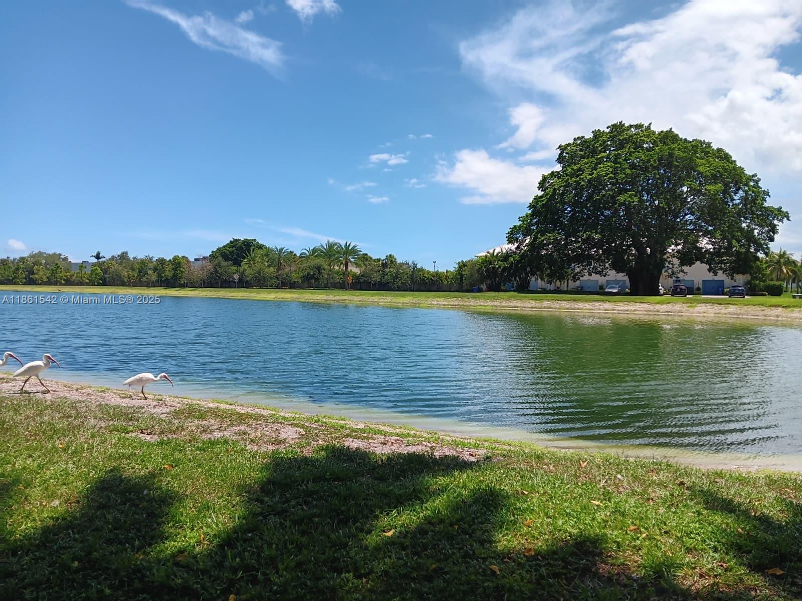 112 2 / 2 1132 sq. ft. $ 2025-08-19 0 Photo