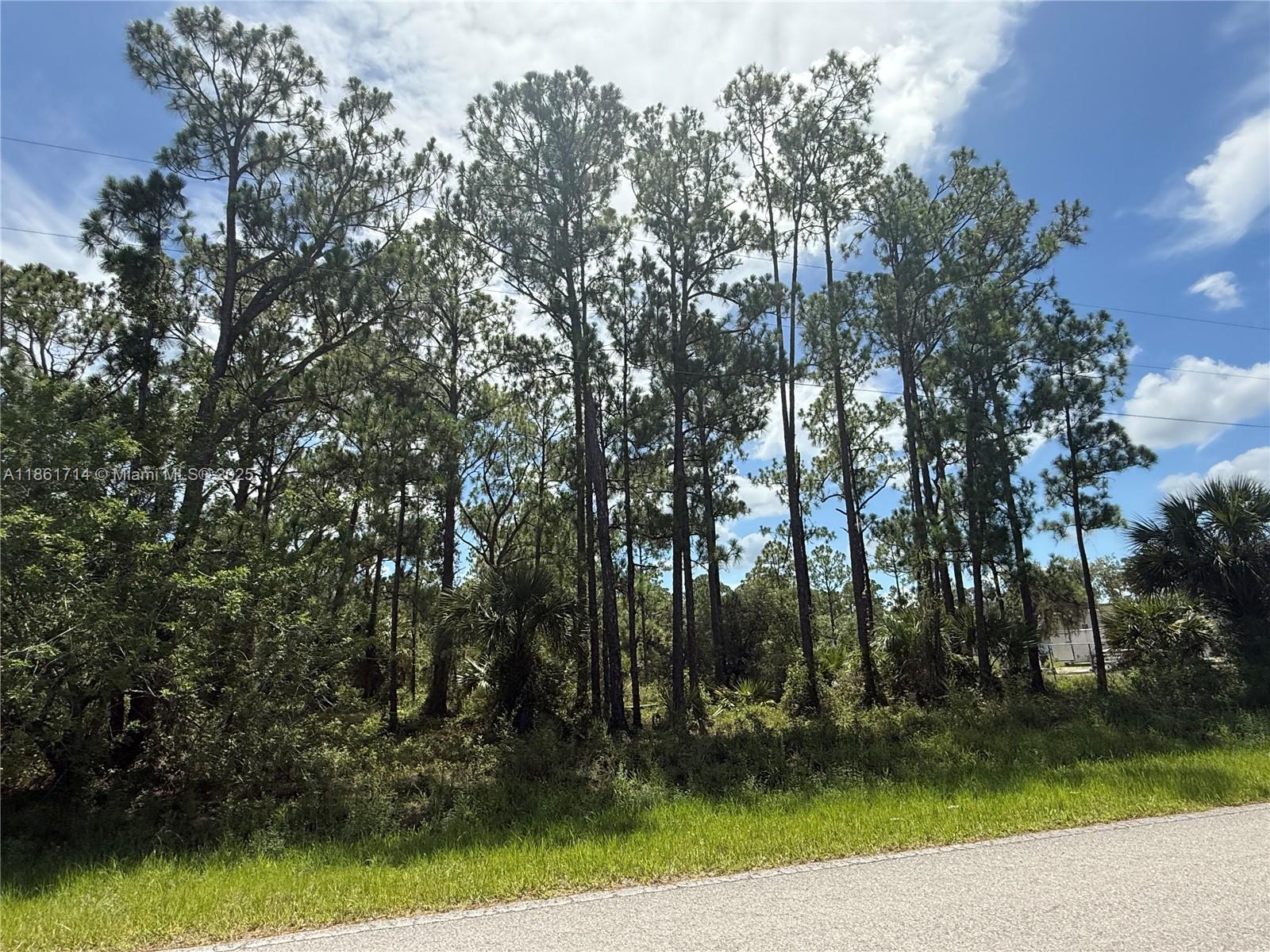 See details / sq. ft. $ 2025-08-19 0 Photo