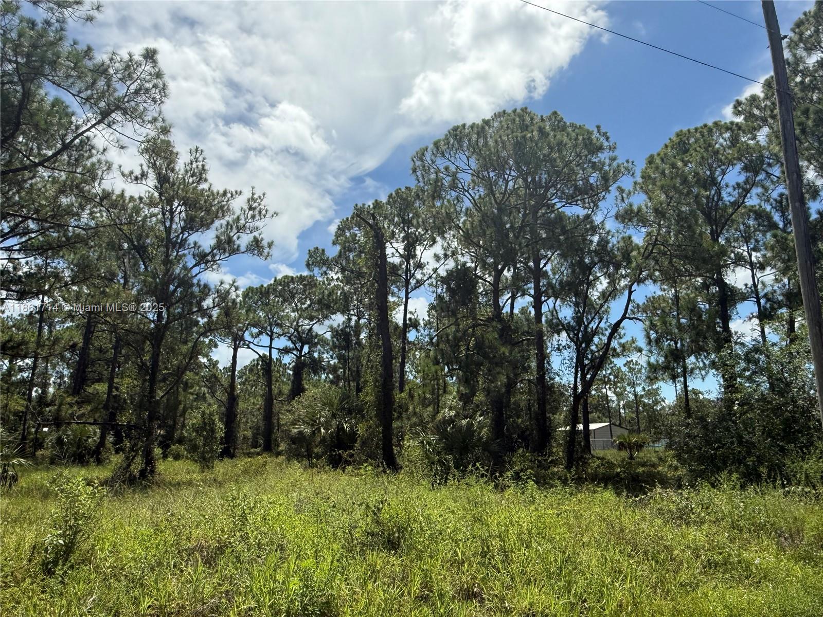 See details / sq. ft. $ 2025-08-19 0 Photo