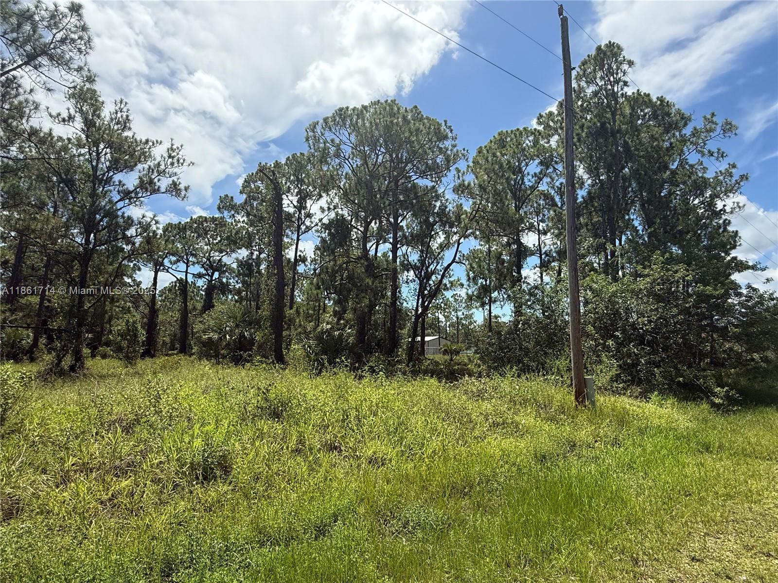 See details / sq. ft. $ 2025-08-19 0 Photo