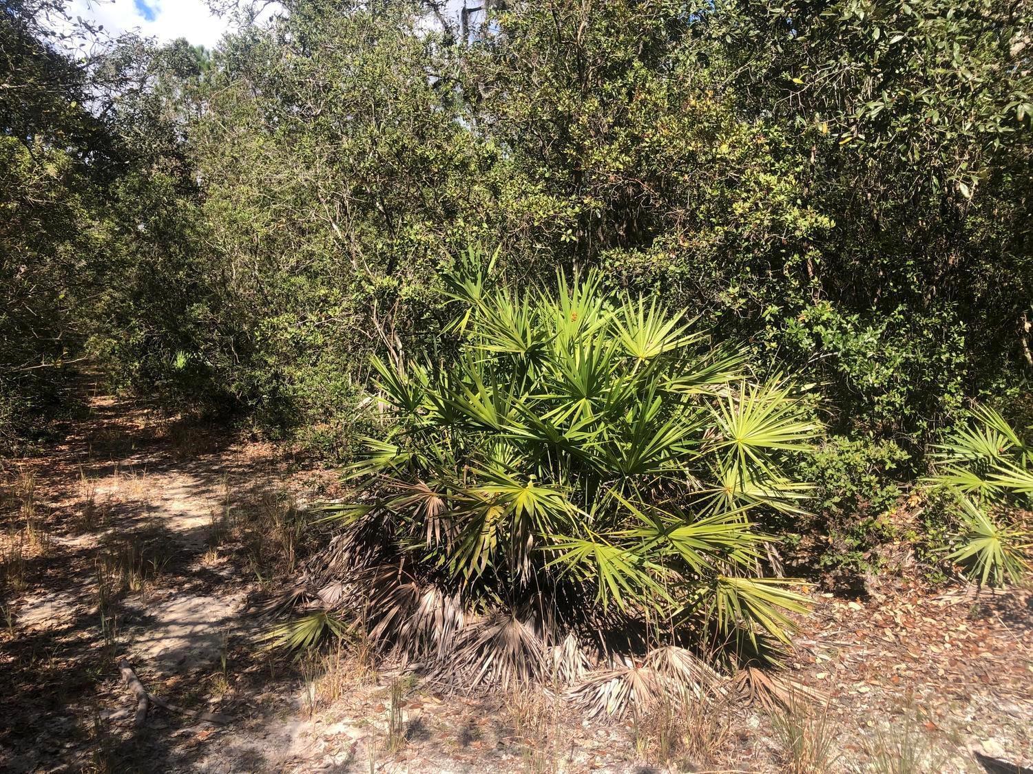   / 0  sq. ft. $ 2026-06-19 0 foto